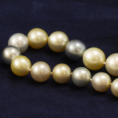 10-13mm Pastel Coloured Cultured South Sea Pearl Graduated Necklace 18” Length - GoldArts