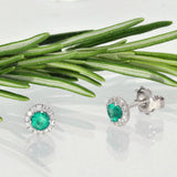 9ct White Gold Emerald & Diamond Halo Stud Earrings