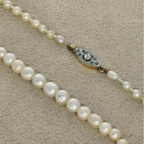 Antique Semi-Baroque Graduated Natural Saltwater Pearl 16' Necklace