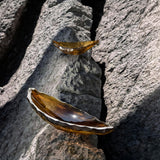 Lalique Silex Bowl, Small Size Canyon Crystal 10847400