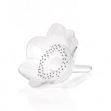 Lalique Anemone Sculpture Clear Crystal 1161400
