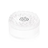 Lalique Dahlia Box Clear Crystal 1135500