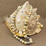 10-13mm 18.5" Pastel Coloured Cultured South Sea Pearl Necklace