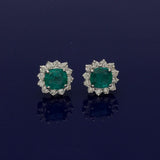 14ct White Gold Emerald & Diamond Halo Earrings
