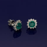 14ct White Gold Emerald & Diamond Halo Earrings