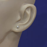 9ct White Gold 0.25ct Round Diamond Claw Set Stud Earrings