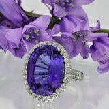 18ct White Gold 13ct Tanzanite & Diamond Halo Statement Ring