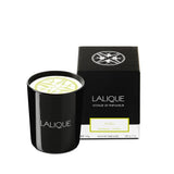 Lalique Yuzu, Shikoku - Japan, Scented Candle B90181