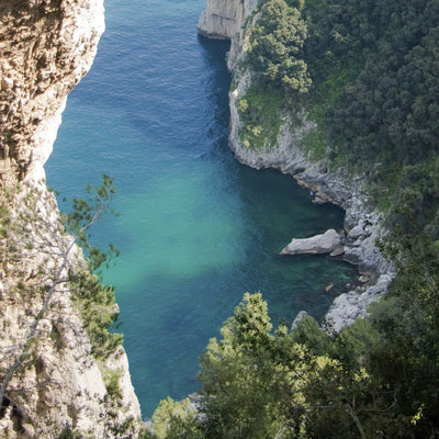 Lalique Fig Tree, Amalfi - Italy, Scented Candle, 600g B40481