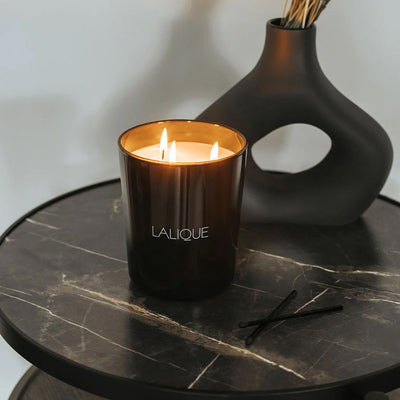 Lalique Fig Tree, Amalfi - Italy, Scented Candle, 600g B40481