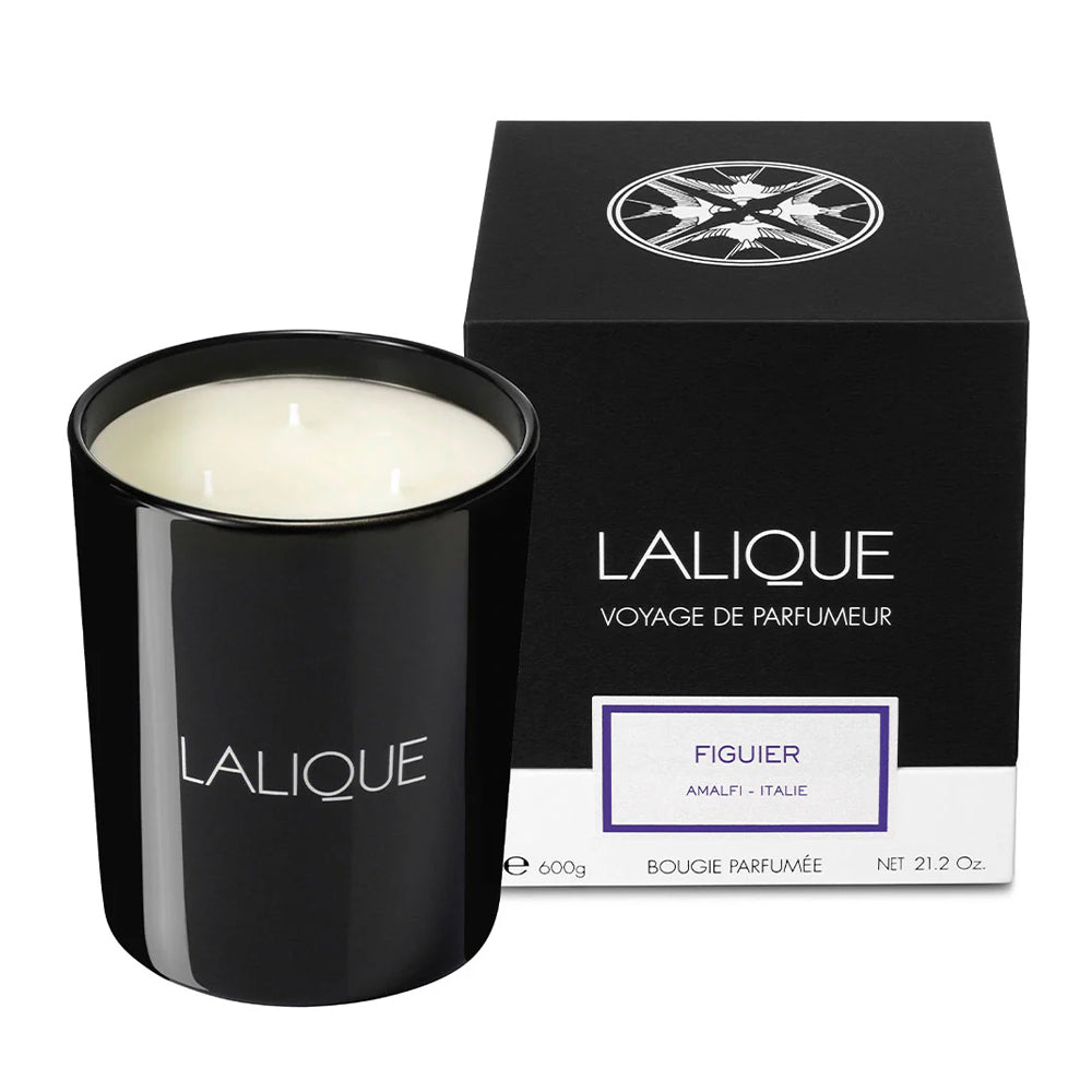 Lalique Fig Tree, Amalfi - Italy, Scented Candle, 600g B40481