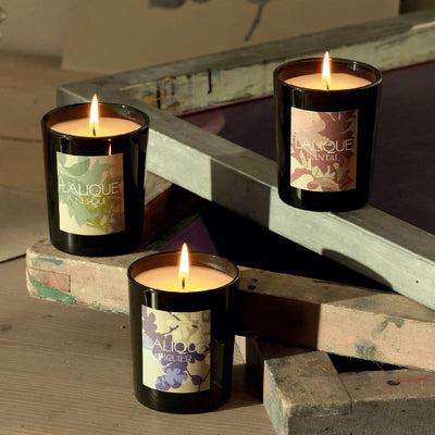 Lalique Néroli, Casablanca - Morocco, Scented Candle, 2025 Edition 10306400