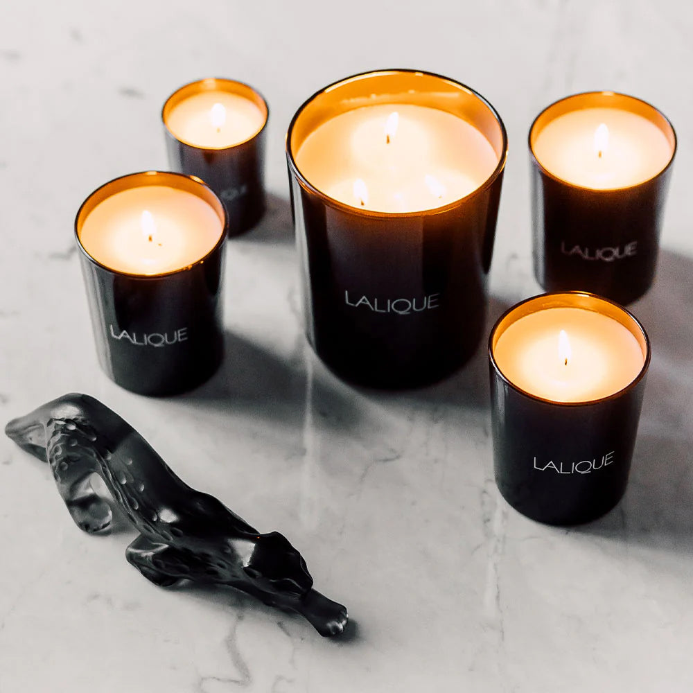 Lalique Néroli, Casablanca - Morocco, Scented Candle, 600g B30481