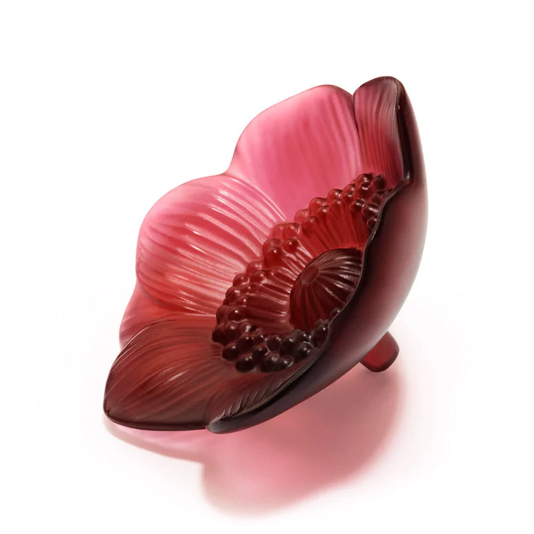 Lalique Small Anémone Sculpture, Red Crystal 10443200